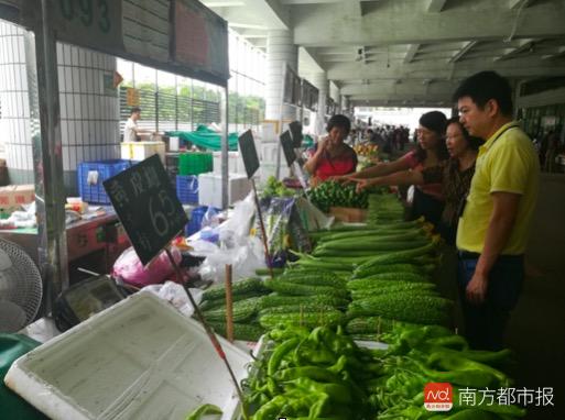 台风后深圳蔬菜涨价20%?现菜价肉价恢复正常