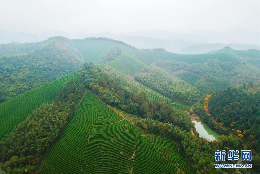 在浙江省湖州市吴兴区道场乡红里山村,村民将初分初拣的垃圾投入家门口的分类收集桶(10月31日摄)。 新华社记者 翁忻旸 摄 千万工程一路走来,浙江农村发展思路发生了转变,村居面貌发生了质变,村民们的习惯发生了巨变,美丽转身的故事俯拾皆是: 曾经的水晶之都浙江浦江县,家家户户建水晶作坊,很多村里的河水因为浸入水晶打磨的粉末变成了白色,生态环境质量公众满意度全省倒数第一。 污染河流、毁坏家园,哪怕金碗也要把它砸了! 浦江县掀起一场水晶产业整治雷霆行动,终于摘掉了全省最脏