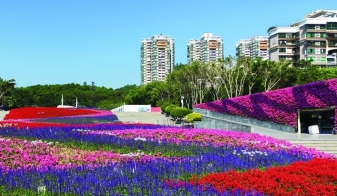 深圳公园景观改造,6大市属公园颜值惊艳