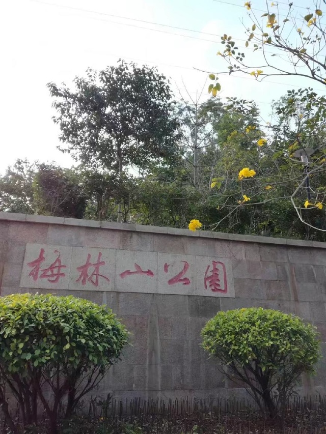 张馨1.jpg