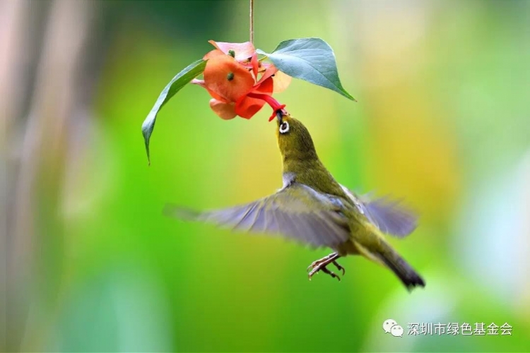 imagefile WechatIMG17.jpeg