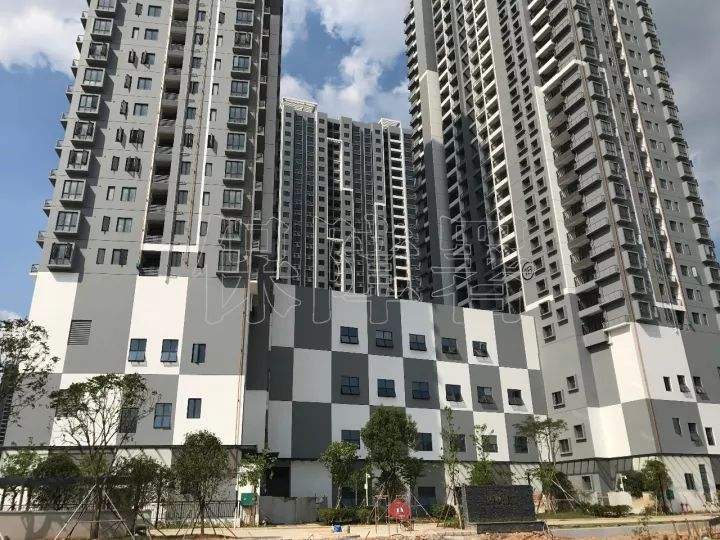 深圳融悦山居公租房选房首日签约177户