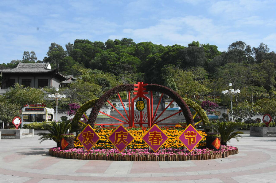 用约13万盘时花精心布置了造型景观,在福永大道