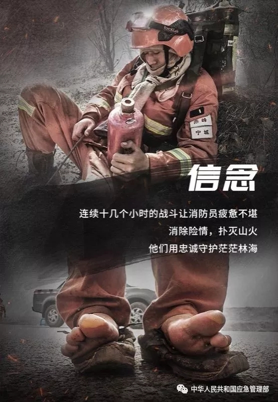 致敬在水与火中淬炼钢铁意志的森林消防员